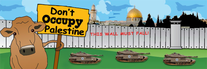 Don't Occupy Palestine